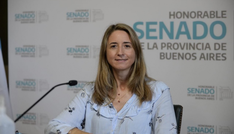 Piden que los concejales que solicitan licencia por salud mantengan la cobertura de IOMA