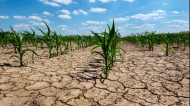 Solicitan que se incluya dentro de la Emergencia Nacional los distritos bonaerenses afectados por la sequía
