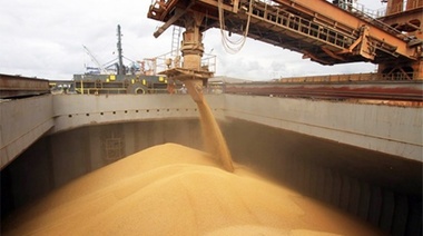 Buenas noticias: En estas horas, se enviarán las 30 mil toneladas de trigo pan a México