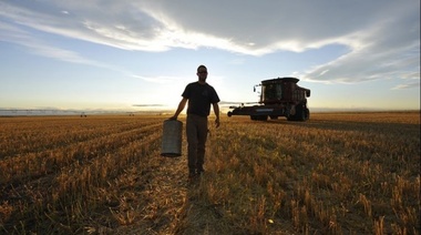 En la Provincia hay 626 hectáreas agrícolas promedio por productor