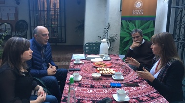 Articulan con Chile por cannabis medicinal