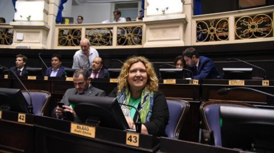 Anahí Bilbao criticó la decisión del Gobierno de subsidiar con 50 mil pesos a usurpadores