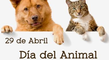 Día del Animal: por qué se celebra hoy