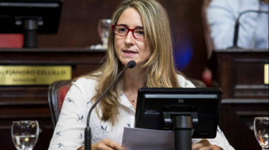 Para la senadora Delmonte "Manes generó esperanza dentro del radicalismo"