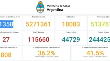 Coronavirus en Argentina: se registraron 1.358 casos y 27 muertes en las últimas 24 horas