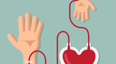 Por qué se celebra hoy el Día Nacional del Donante Voluntario de Sangre
