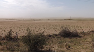 Sequias en el sur bonaerense: alertan por posibles incendios durante el verano