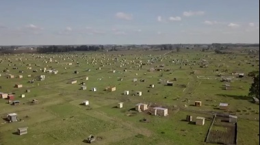 La Plata solicitó desarchivar la causa por la toma de tierras de Los Hornos