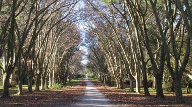 Crean el "Programa Parque Ambiental" bonaerense para poner en valor los espacios verdes