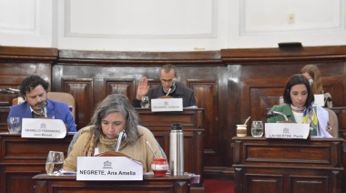 En La Plata proponen que la renovación de las licencias de conducir robadas sea gratis