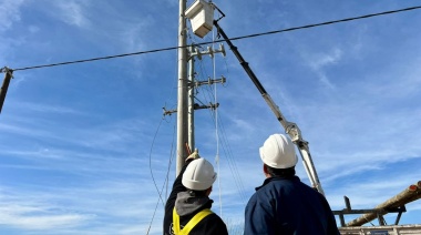 EDELAP colocó 1.000 nuevas columnas de hormigón en su red de distribución de energía