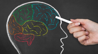 ¿Cómo funciona la memoria humana? ¿Cuántos recuerdos puede almacenar?