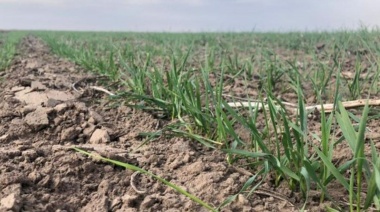 Diputados de JxC exigen se declare la emergencia agropecuaria en la PBA
