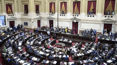 Diputados debatió la capacitación obligatoria para funcionarios en “Ley Lucio”