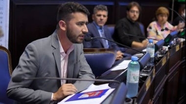 A propuesta de un legislador libertario, Diputados debatirá el uso de la pistola taser