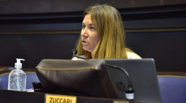 "Descaradamente para el Gobierno el Mundial es lo único que preocupa”, dijo Zuccari