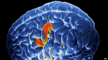 Neurocientíficos entrenan una AI para que pueda leer la mente