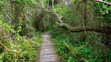 Reservas naturales en nuestra Provincia: 3 destinos para recorrer en invierno