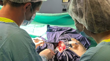 Operaron despierto a un adolescente de 15 años para extirparle un tumor cerebral
