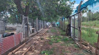 La Municipalidad de Alberti lleva adelante reformas en el refugio canino municipal