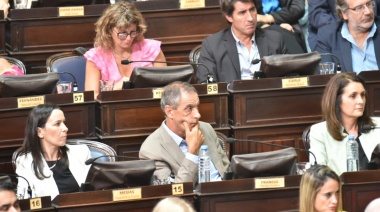 Diputados radicales y del GEN reclaman que Milei no desfinancie las Universidades Nacionales