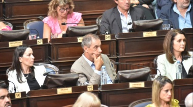 Diputados de la UCR y el GEN exigen transparencia en las boletas del Inmobiliario