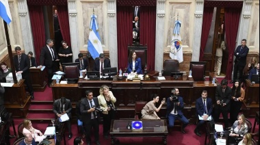 Ley Bases: inicia el debate en el Senado tras la aprobación en Diputados