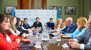 Kreplak fue al Senado en busca de apoyo para proyectos de Salud pero recibió críticas 