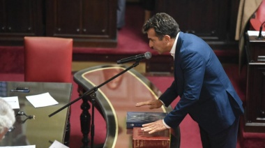 Tras la baja de Reich, Gribaudo asumió como vicepresidente 2° del Senado bonaerense