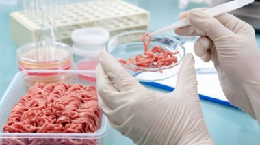Detectan triquinosis en carne de cerdo en Pehuajó