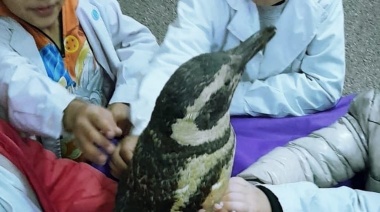 El último taxidermista: Domingo Armando Apud