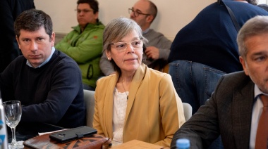 Según Malaisi, Milei va “a contramano del mundo desarrollado”