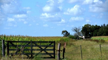 Impuesto Inmobiliario Rural: Para el campo, Kicillof “insiste en empobrecer a los habitantes”
