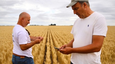 “Vamos al grano”: Con una gran concurrencia, se realizó la 12° edición del AGROTOUR