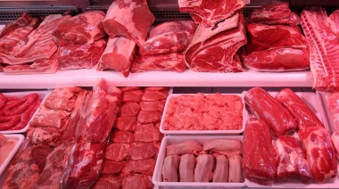 ¿Nuevo incremento de la carne vacuna?