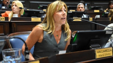 Buscan que la imagen institucional de la Provincia no sea modificada por los Gobiernos de turno