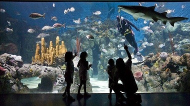Verano en Escobar: “El camino del guardián de la naturaleza”, la propuesta de Temaikén
