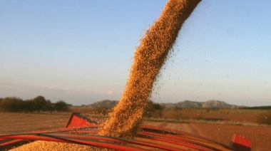 El Consejo Agroindustrial Argentino pide profundizar la baja de retenciones para fortalecer exportaciones