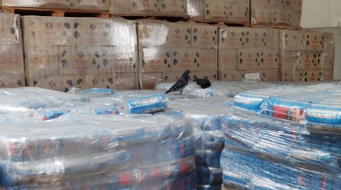 Otra denuncia contra Pettovello: encontraron útiles escolares y comida "por pudrirse"