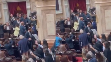 Vergonzoso: Dos diputados libertarios terminaron a las piñas en el recinto