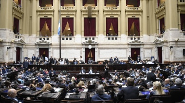 Exigen una comisión investigadora para analizar aprietes de diputados libertarios en la última sesión