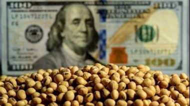 El campo celebra el fin del cepo: “Un nuevo horizonte para el sector agropecuario”