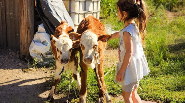 Fin de semana largo XXL: el destino perfecto para disfrutar de un tradicional asado de campo en Buenos Aires