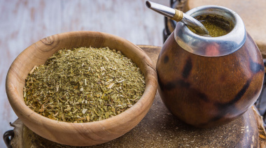 La cosecha de yerba mate cayó más del 30% en el primer trimestre del año
