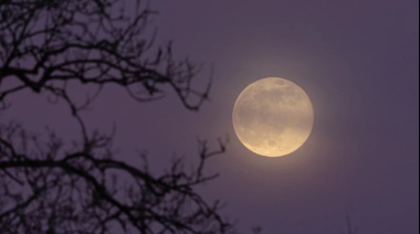 Se acerca la microluna: qué es y cuándo llega el fenómeno astronómico que acompañará a la próxima Luna llena