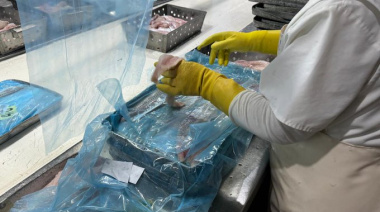 La crisis pesquera deja 400 trabajadores en la calle y obliga a importar langostino