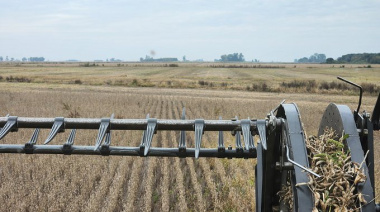 Retenciones en la mira: el agro vuelve a alzar la voz