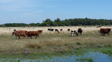 Carbap denunció protección a las agroexportadoras