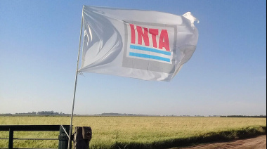 La motosierra no descansa: despedirán a 700 trabajadores del INTI y el INTA