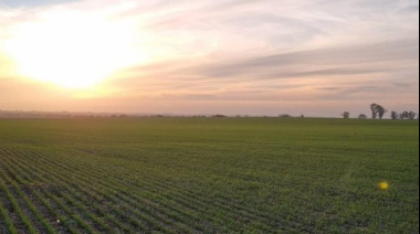 El agro proyecta un ingreso extra de USD 28.800 millones hacia 2035